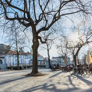 *** Guest house Old Town Slovenia